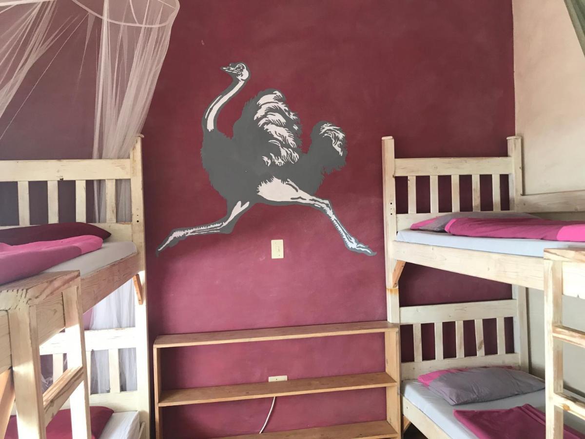 Paradisegarden Backpackers Windhoek Eksteriør billede