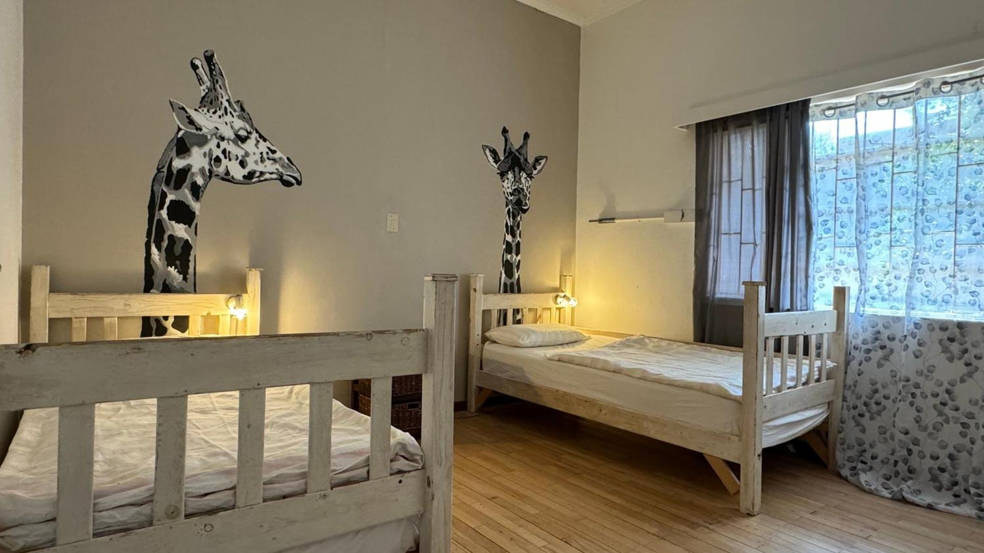Paradisegarden Backpackers Windhoek Eksteriør billede