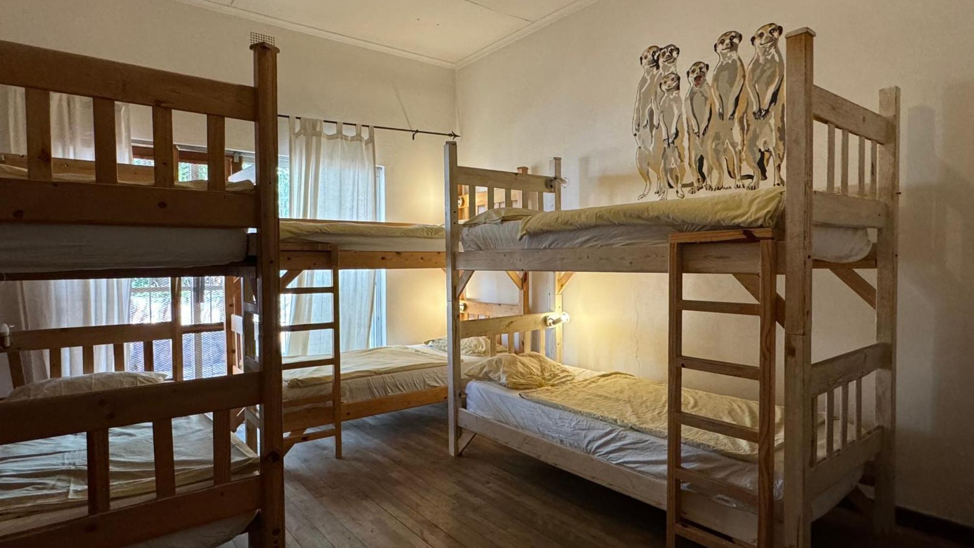 Paradisegarden Backpackers Windhoek Eksteriør billede